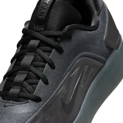 Nike SB Nike Sb Zoom Nyjah 4