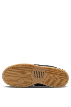 Nike SB Paul Rodriguez Zoom Air Low