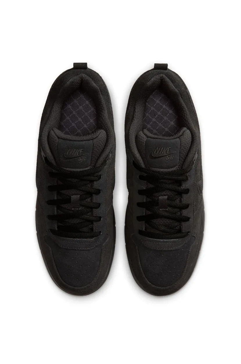 Nike SB Paul Rodriguez Zoom Air Low