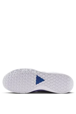 Nike SB Ps8