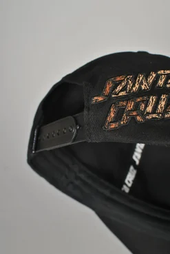Santa Cruz Braun Great Outdoors Snapback