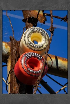 Spitfire Wheels T-Funk Raw F4 97 Radial Full 54Mm