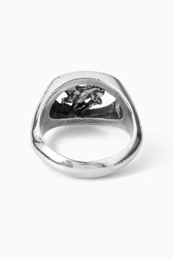 Twojeys Rounded Horse Ring