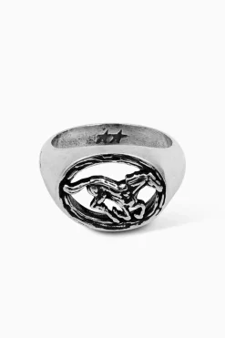 Twojeys Rounded Horse Ring